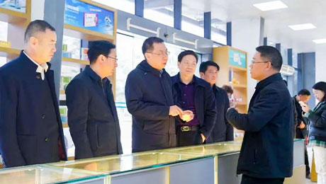 依法服务保障企业更好发展，陇南中院院长万建军赴独一味制药调研指导